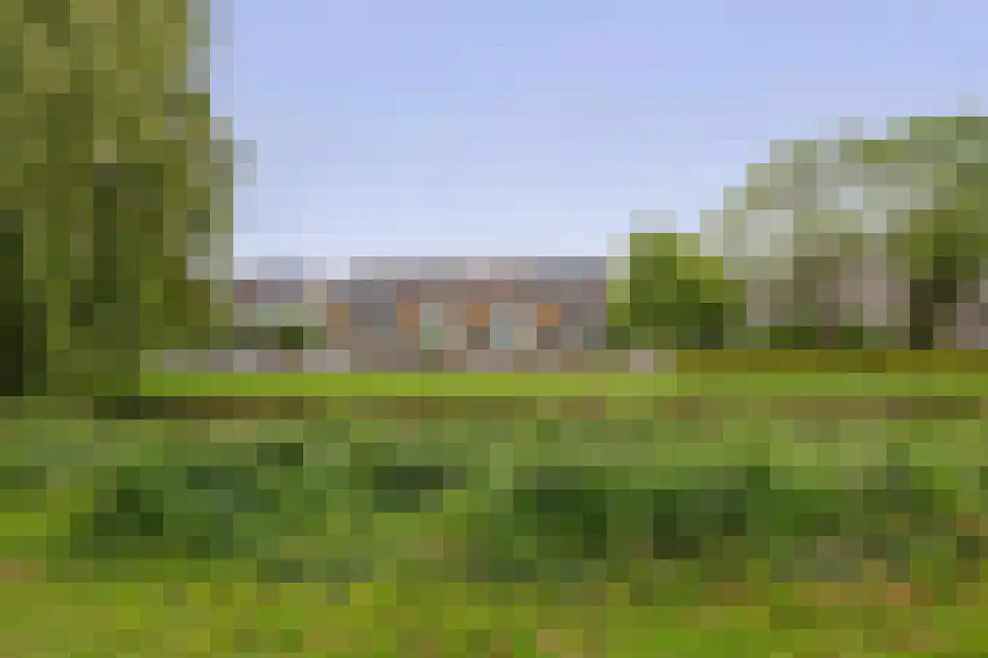 Bosboom Toussaintsingel 5 Waddinxveen thumbnail 4