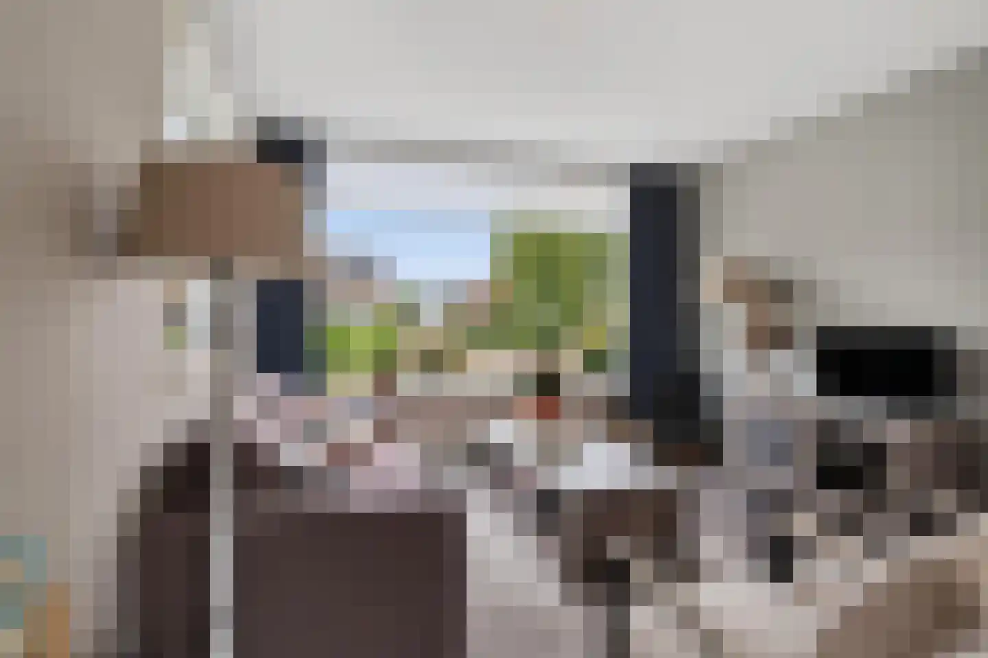 Bosboom Toussaintsingel 5 Waddinxveen thumbnail 9