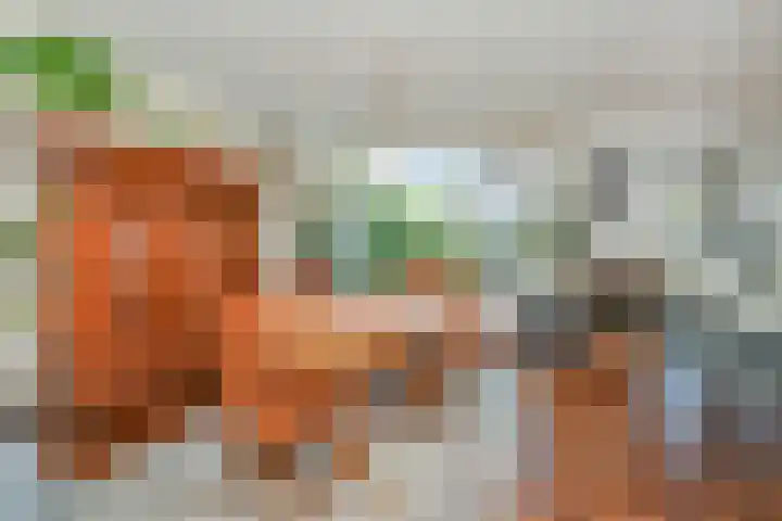 Bosboom Toussaintsingel 52 Waddinxveen thumbnail 10