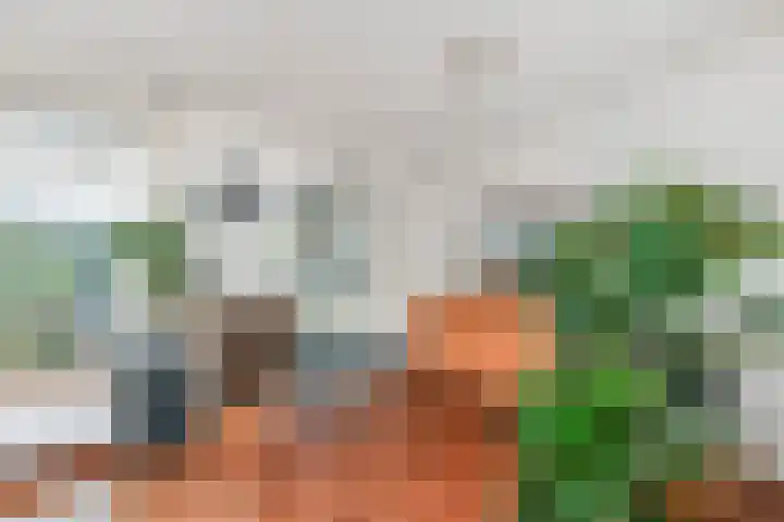 Bosboom Toussaintsingel 52 Waddinxveen thumbnail 11