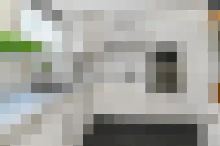 Bosboom Toussaintsingel 52 Waddinxveen thumbnail 12