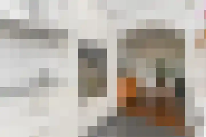 Bosboom Toussaintsingel 52 Waddinxveen thumbnail 14