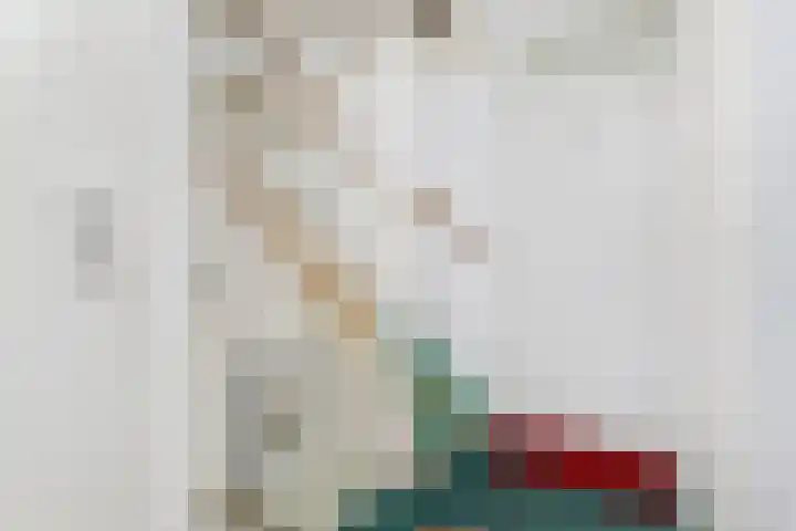 Bosboom Toussaintsingel 52 Waddinxveen thumbnail 17
