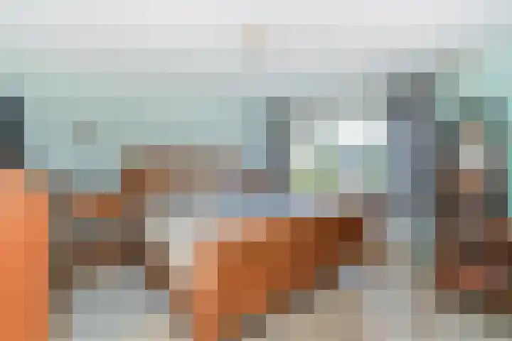 Bosboom Toussaintsingel 52 Waddinxveen thumbnail 18