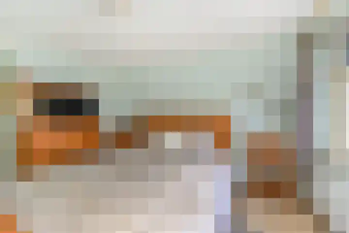 Bosboom Toussaintsingel 52 Waddinxveen thumbnail 19