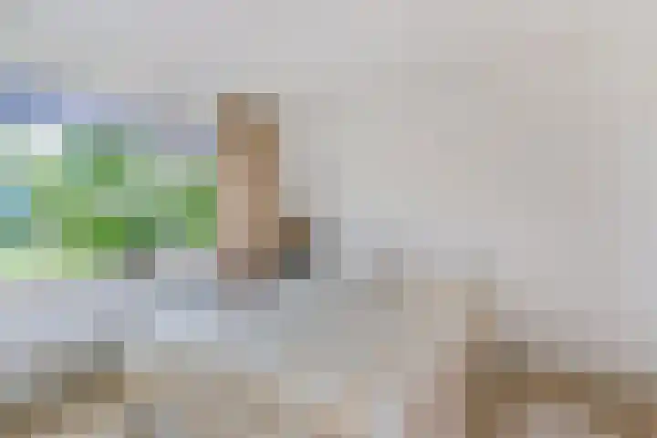 Bosboom Toussaintsingel 52 Waddinxveen thumbnail 20