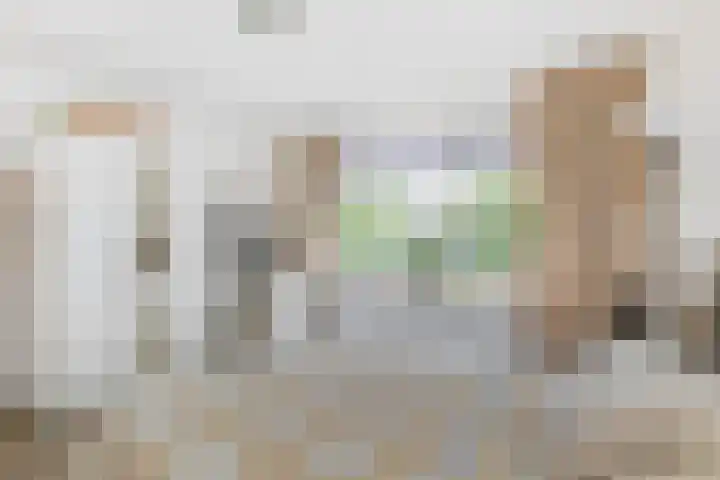 Bosboom Toussaintsingel 52 Waddinxveen thumbnail 21