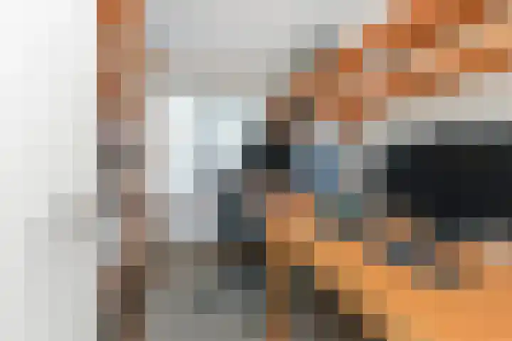 Bosboom Toussaintsingel 52 Waddinxveen thumbnail 23
