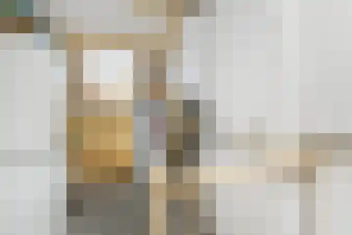 Bosboom Toussaintsingel 52 Waddinxveen thumbnail 27