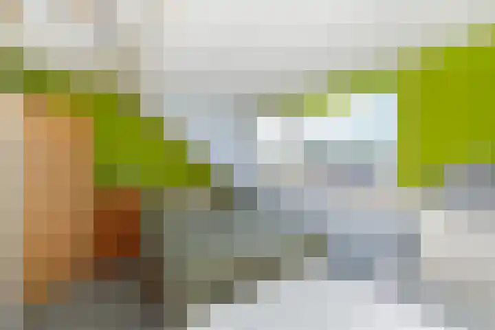 Bosboom Toussaintsingel 52 Waddinxveen thumbnail 30