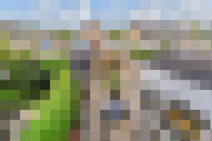Bosboom Toussaintsingel 52 Waddinxveen thumbnail 31