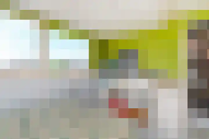 Bosboom Toussaintsingel 52 Waddinxveen thumbnail 32