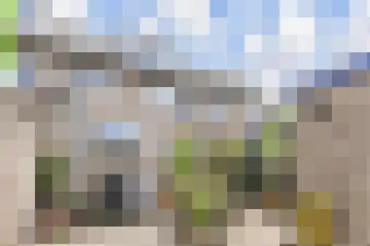 Bosboom Toussaintsingel 52 Waddinxveen thumbnail 33