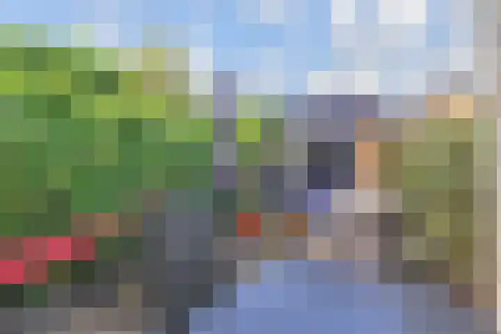 Bosboom Toussaintsingel 52 Waddinxveen thumbnail 34