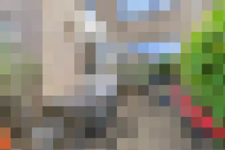 Bosboom Toussaintsingel 52 Waddinxveen thumbnail 35