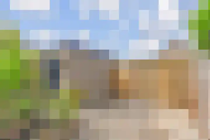 Bosboom Toussaintsingel 52 Waddinxveen thumbnail 36