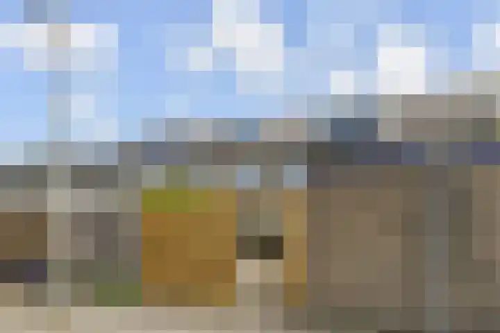 Bosboom Toussaintsingel 52 Waddinxveen thumbnail 37