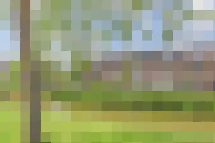 Bosboom Toussaintsingel 52 Waddinxveen thumbnail 38