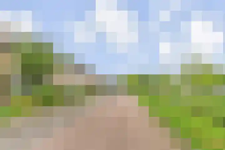 Bosboom Toussaintsingel 52 Waddinxveen thumbnail 39