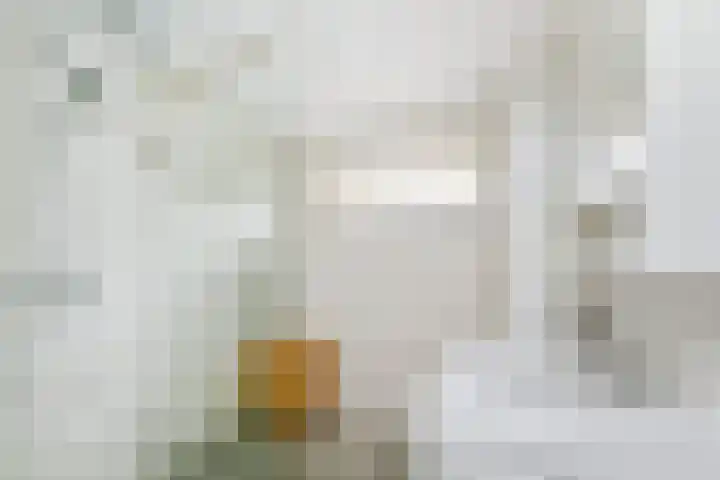 Bosboom Toussaintsingel 52 Waddinxveen thumbnail 4