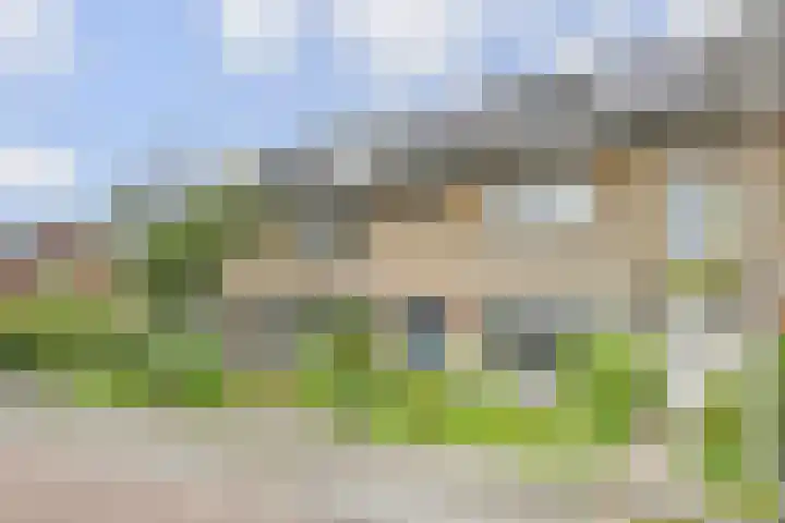 Bosboom Toussaintsingel 52 Waddinxveen thumbnail 46