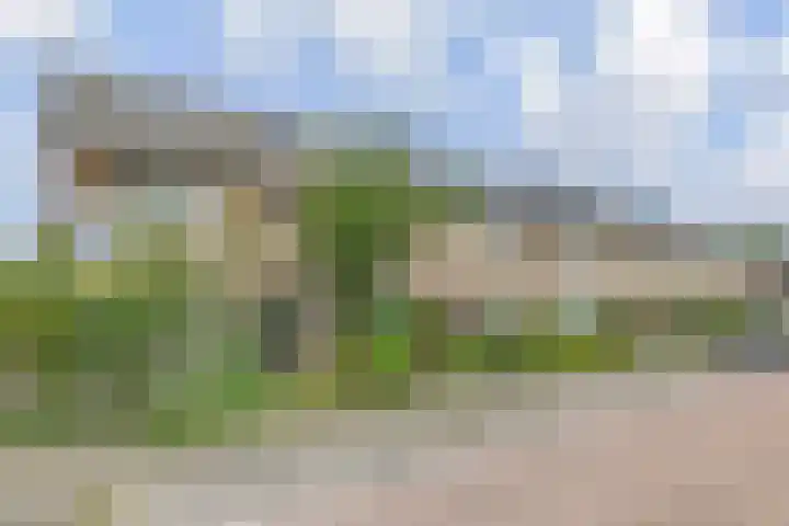 Bosboom Toussaintsingel 52 Waddinxveen thumbnail 5