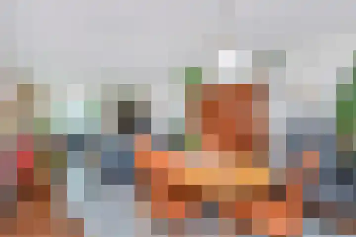 Bosboom Toussaintsingel 52 Waddinxveen thumbnail 9