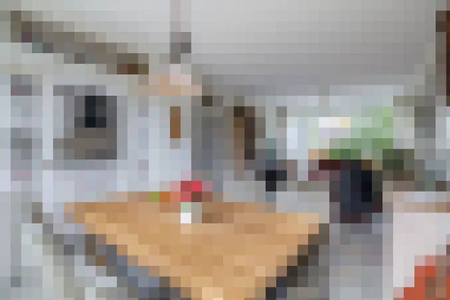 Bosboom Toussaintsingel 60 Waddinxveen thumbnail 10