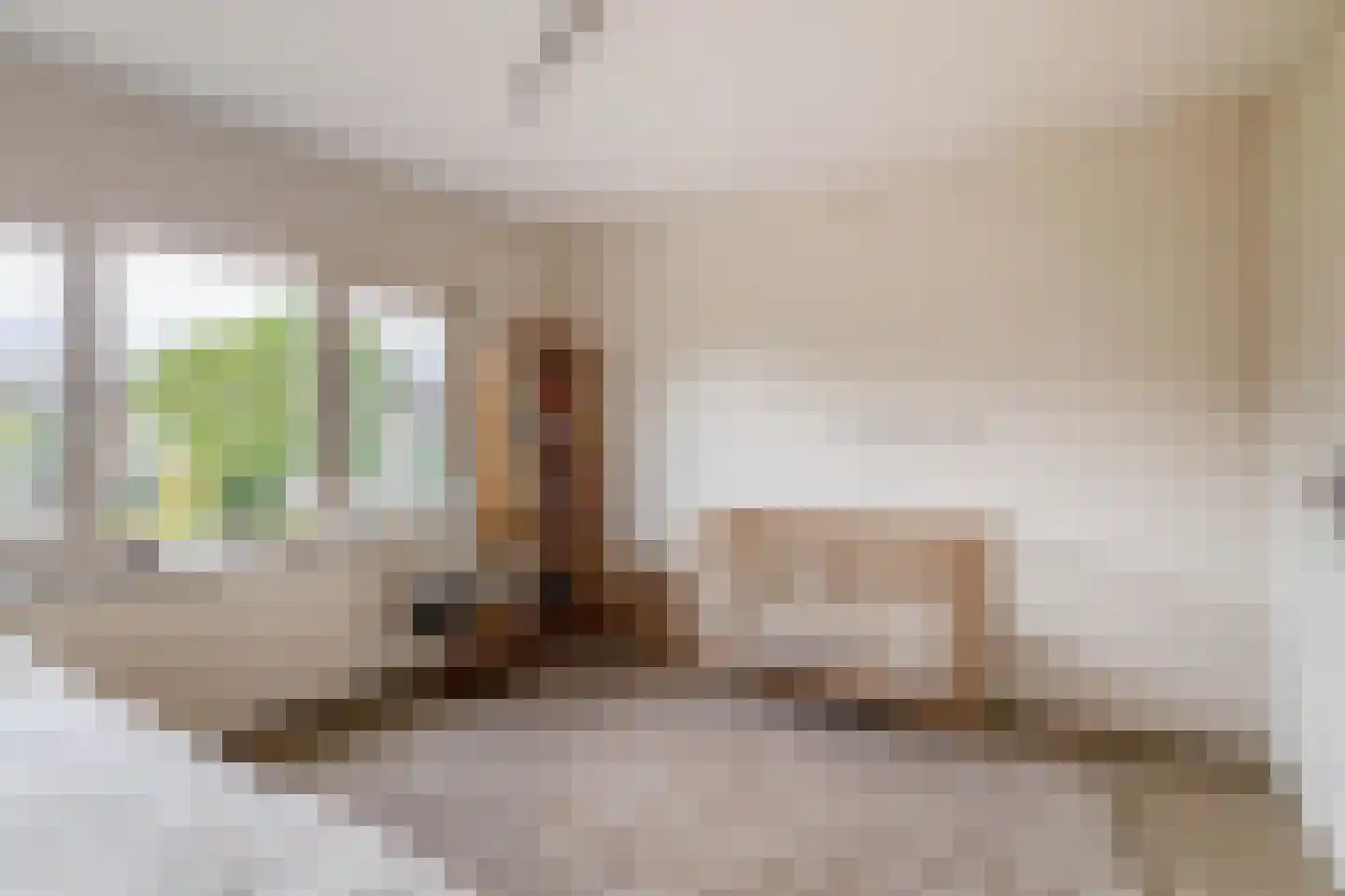 Bosboom Toussaintsingel 60 Waddinxveen thumbnail 22