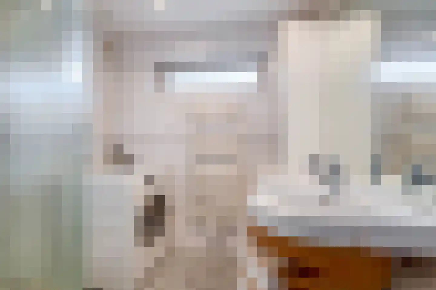 Bosboom Toussaintsingel 60 Waddinxveen thumbnail 24