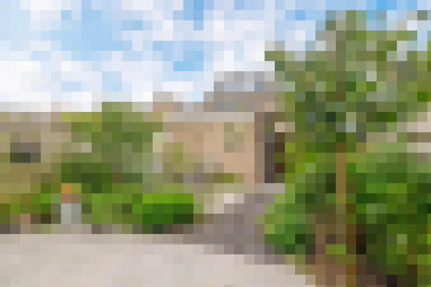 Bosboom Toussaintsingel 60 Waddinxveen thumbnail 30