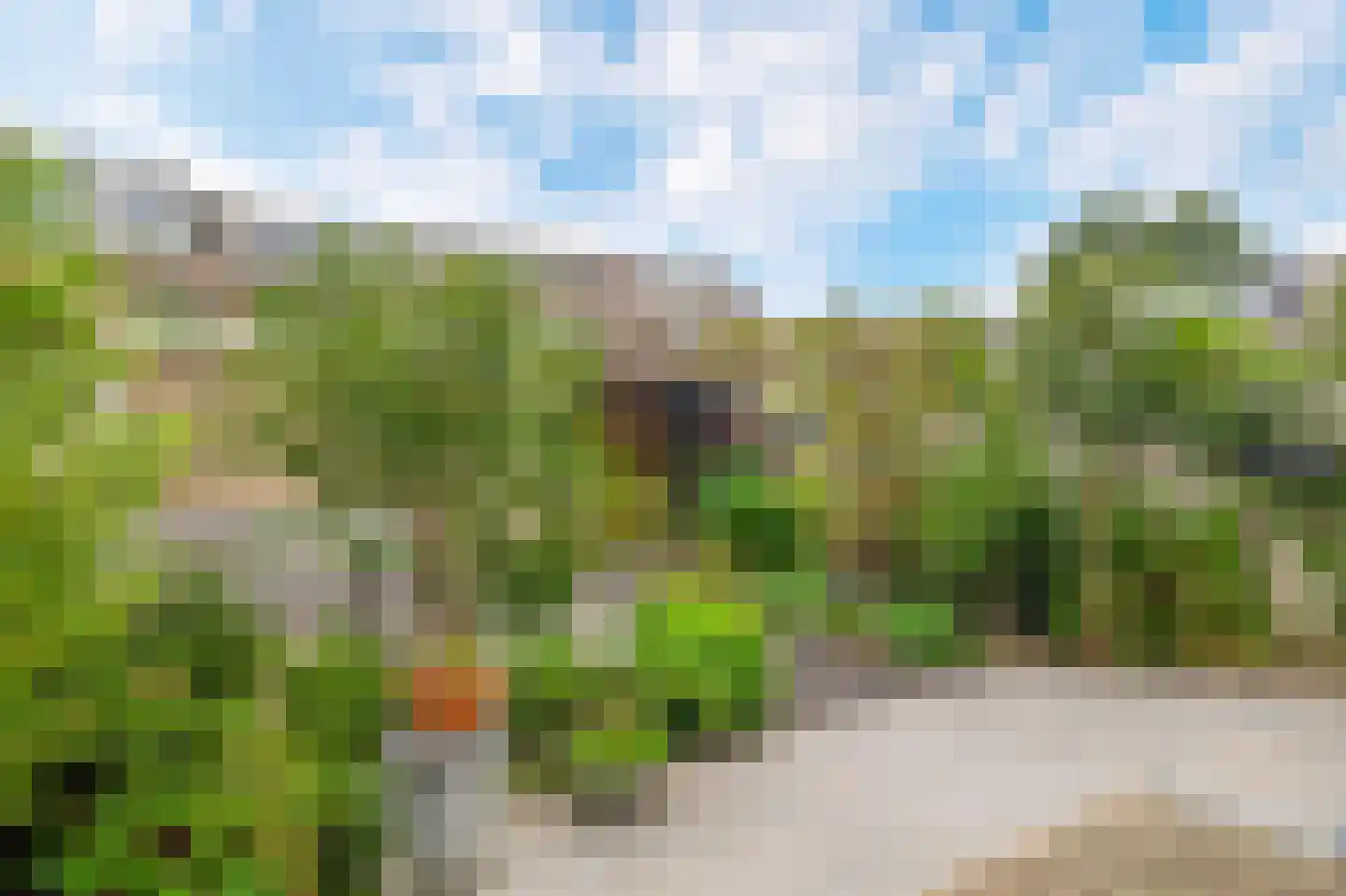 Bosboom Toussaintsingel 60 Waddinxveen thumbnail 31