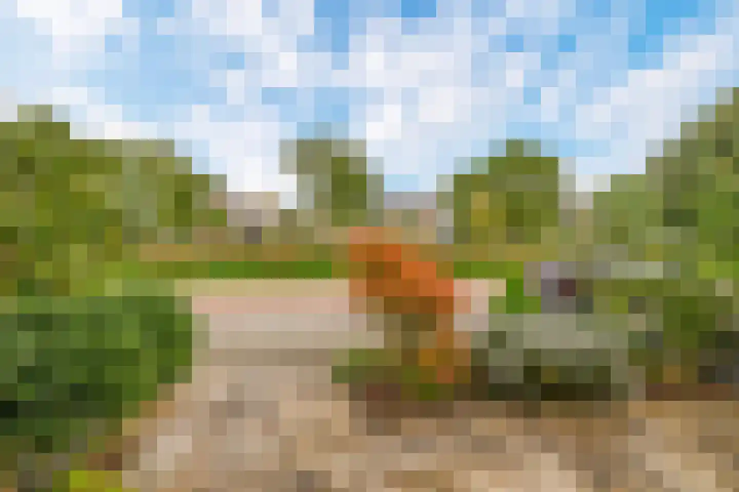 Bosboom Toussaintsingel 60 Waddinxveen thumbnail 37