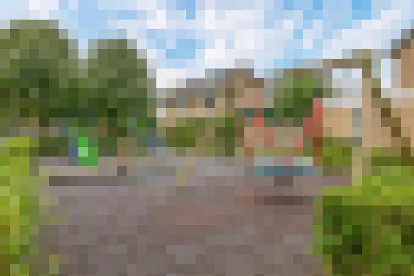 Bosboom Toussaintsingel 60 Waddinxveen thumbnail 43