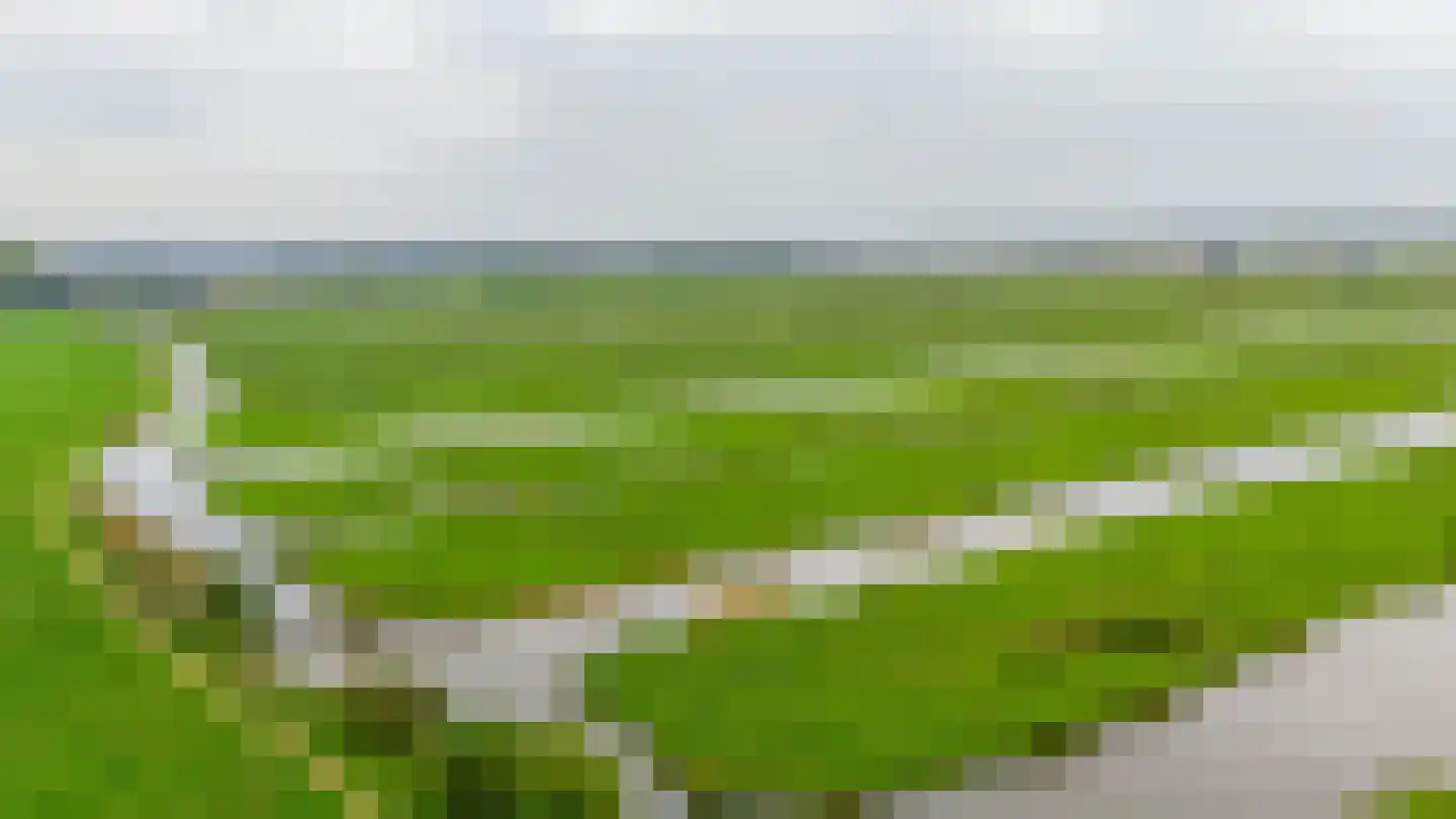 Bosboom Toussaintsingel 60 Waddinxveen thumbnail 45