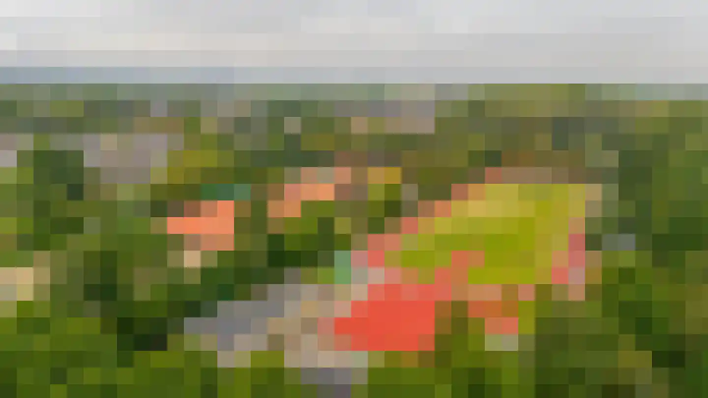 Bosboom Toussaintsingel 60 Waddinxveen thumbnail 46