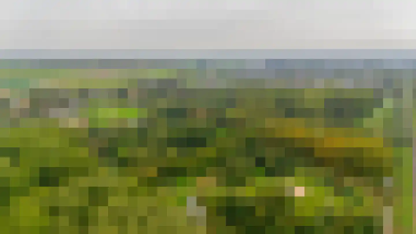 Bosboom Toussaintsingel 60 Waddinxveen thumbnail 47