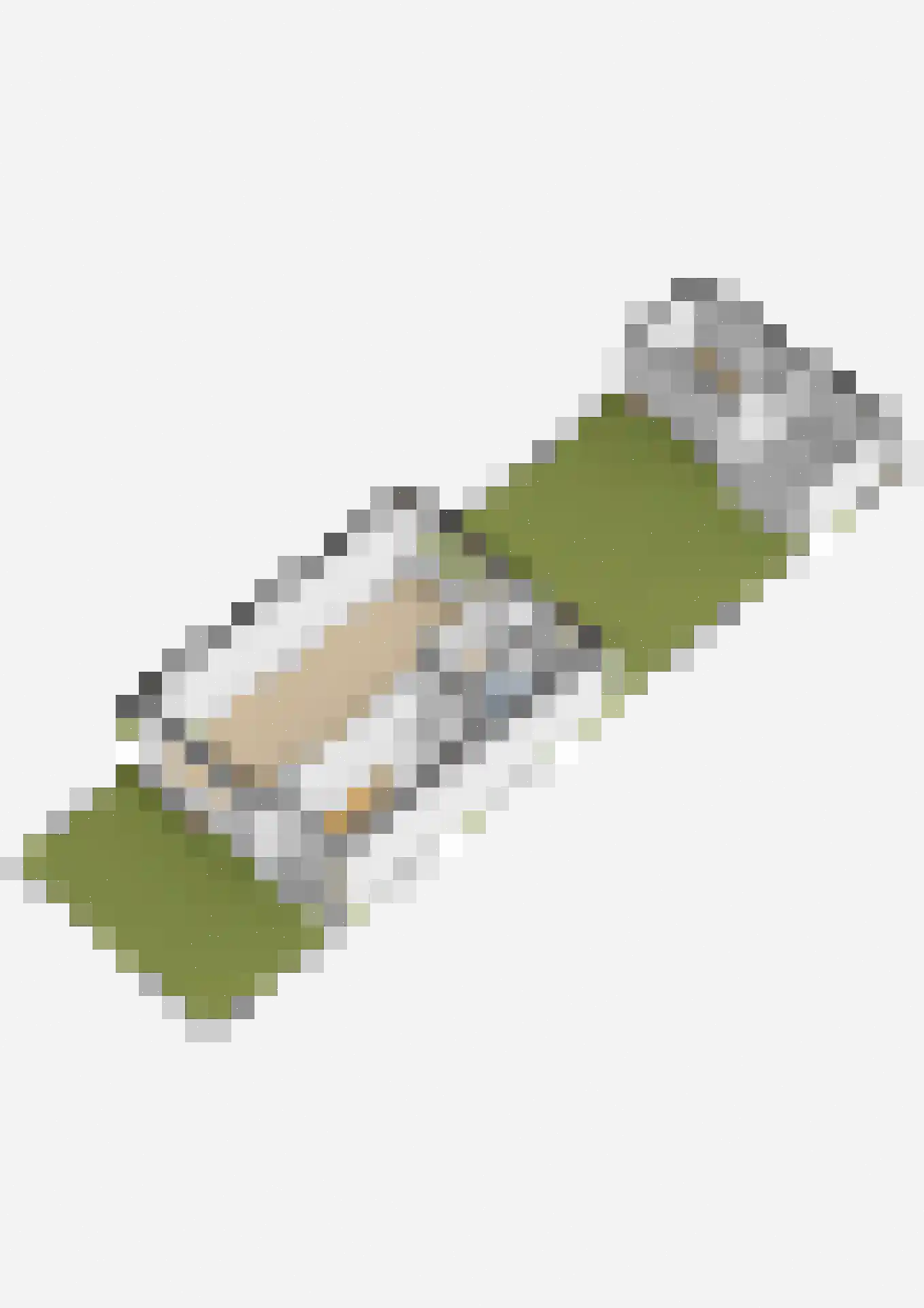 Bosboom Toussaintsingel 60 Waddinxveen thumbnail 58