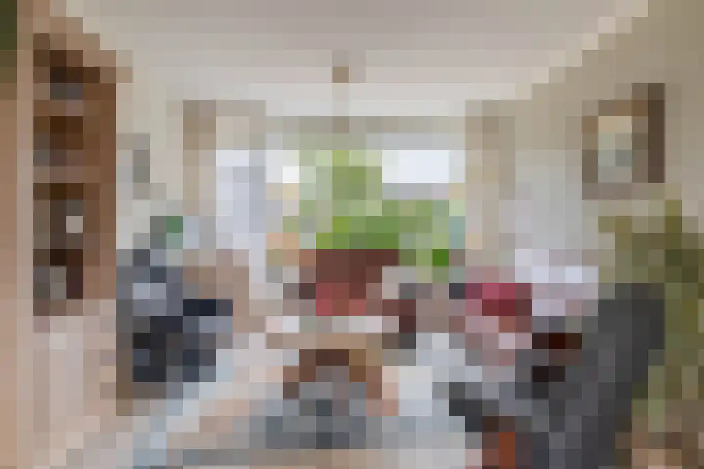 Bosboom Toussaintsingel 60 Waddinxveen thumbnail 7