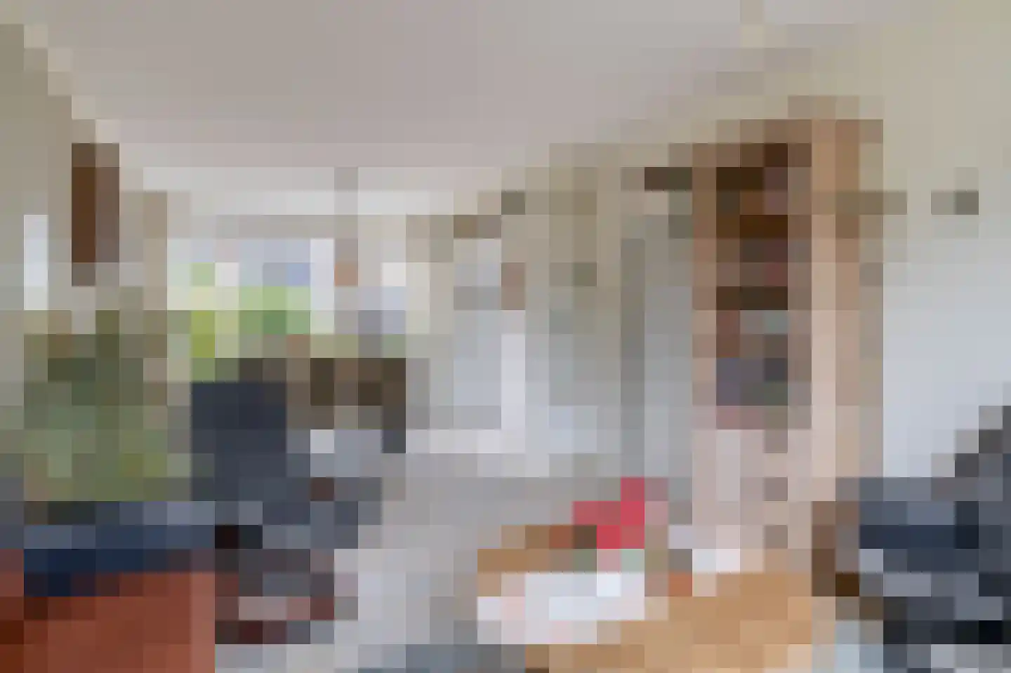 Bosboom Toussaintsingel 60 Waddinxveen thumbnail 8