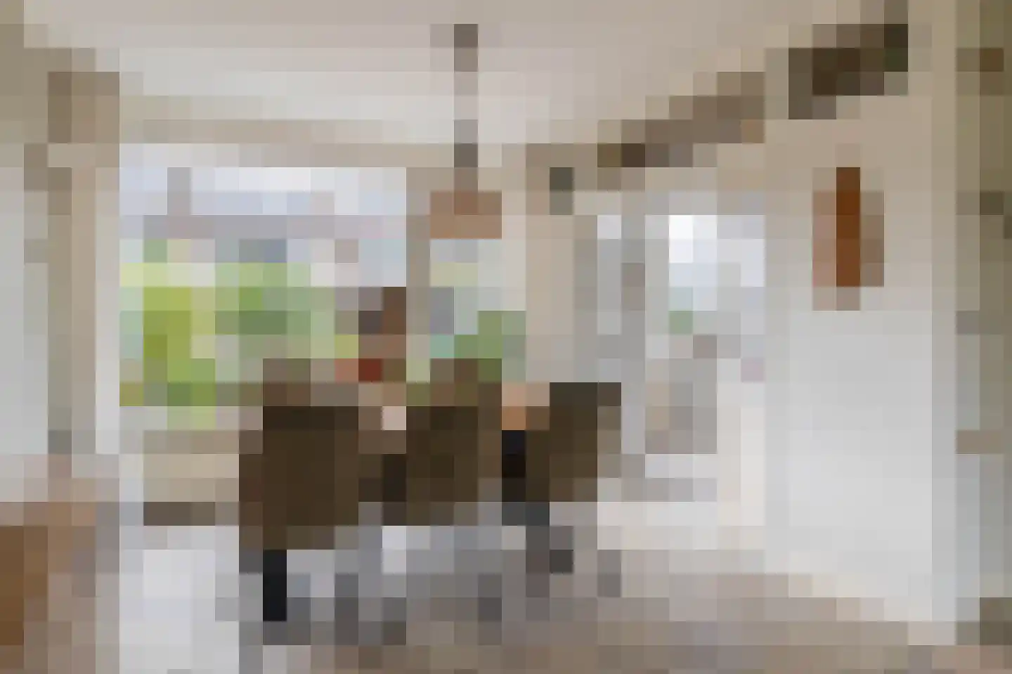 Bosboom Toussaintsingel 60 Waddinxveen thumbnail 9