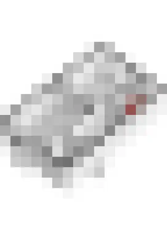 Bosboom-Toussaintstraat 111 Dordrecht thumbnail 55