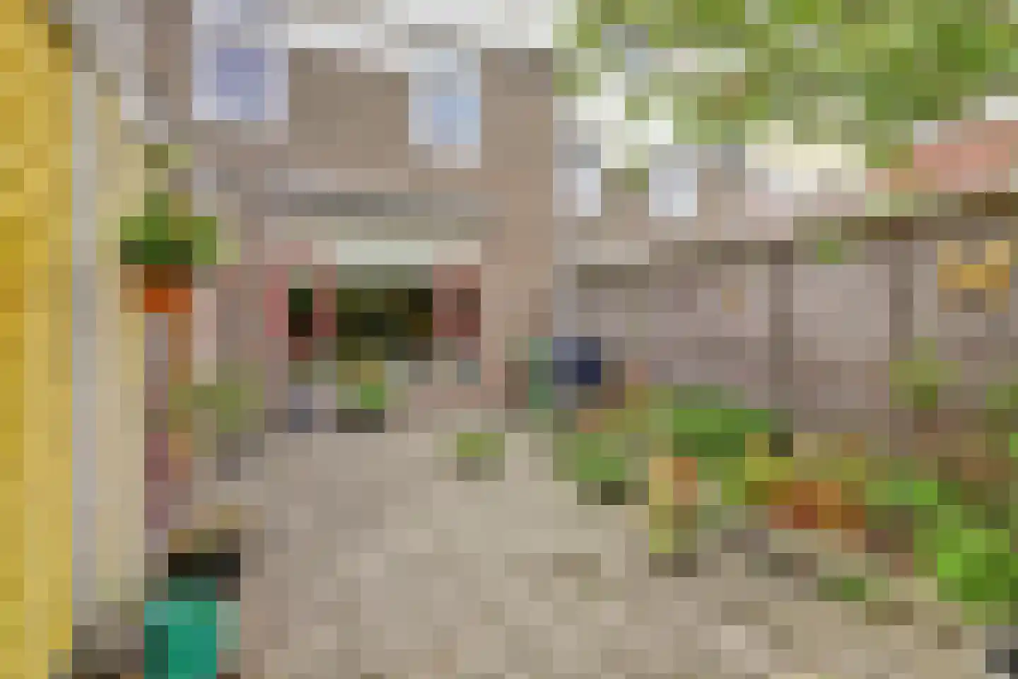 Bosboom Toussaintstraat 34 Harlingen thumbnail 30