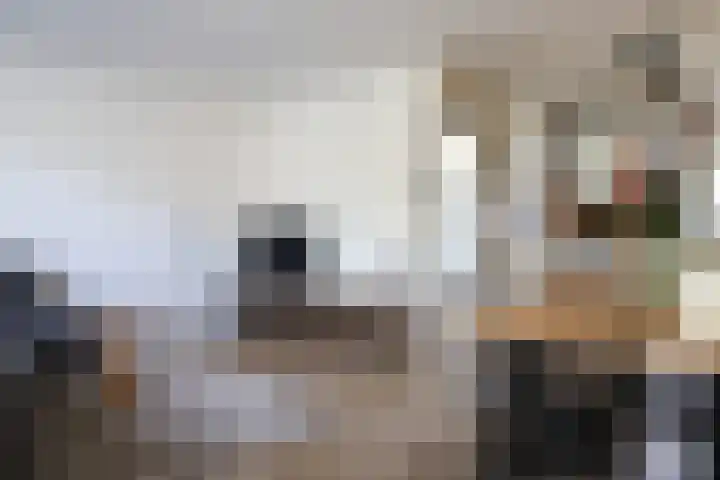 Bosboom Toussaintstraat 36 Harlingen thumbnail 16