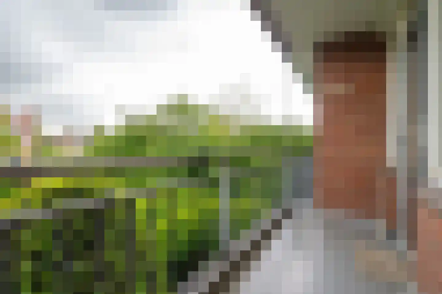 Bosboom Toussaintstraat 36 Zwolle thumbnail 11