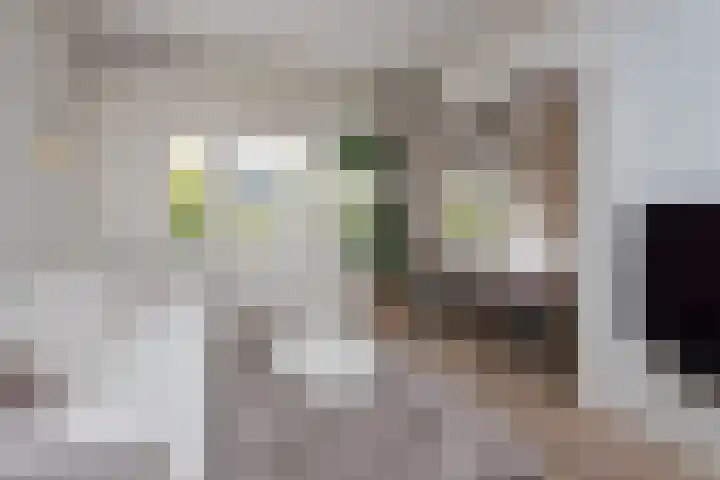 Bosboom Toussaintstraat 4 4 Amsterdam thumbnail 4