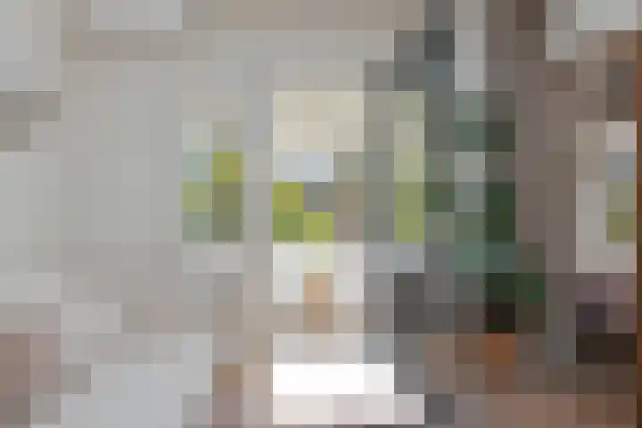 Bosboom Toussaintstraat 4 4 Amsterdam thumbnail 5
