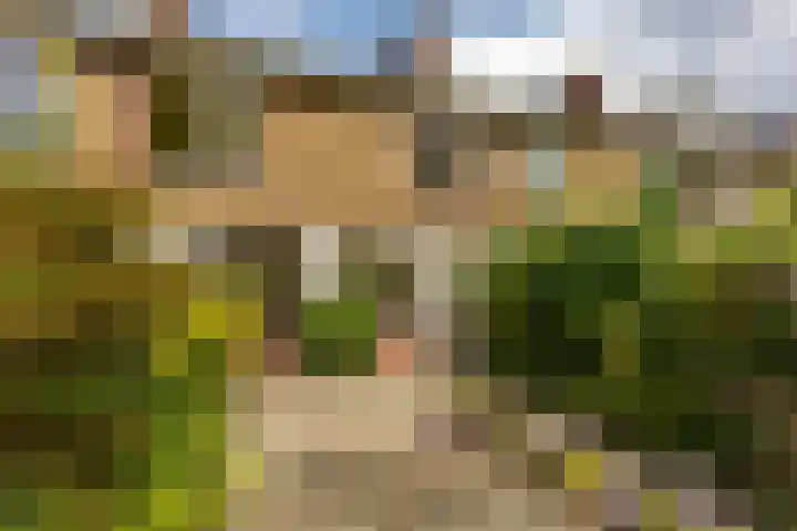 Bosboom-Toussaintstraat 4 Groningen thumbnail 10