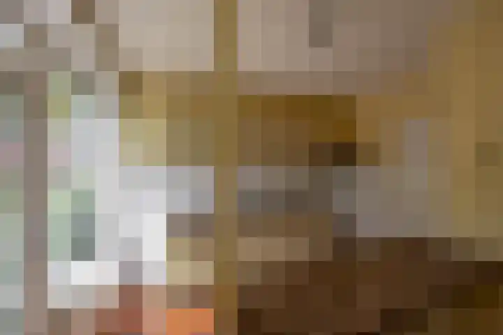 Bosboom-Toussaintstraat 4 Groningen thumbnail 8