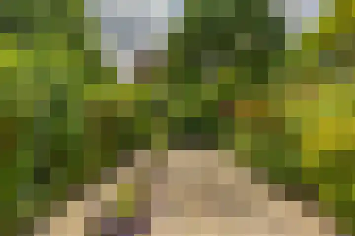 Bosboom-Toussaintstraat 4 Groningen thumbnail 9